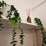 Apartment Greatforest 2 *