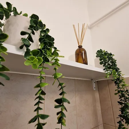 Apartament Greatforest 2 *